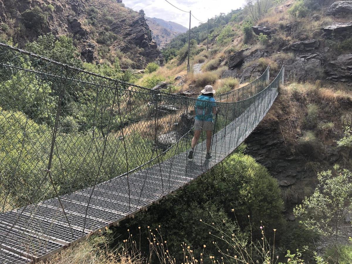 Suite Ladero Alto Sierra Nevada Guejar Sierra Dış mekan fotoğraf